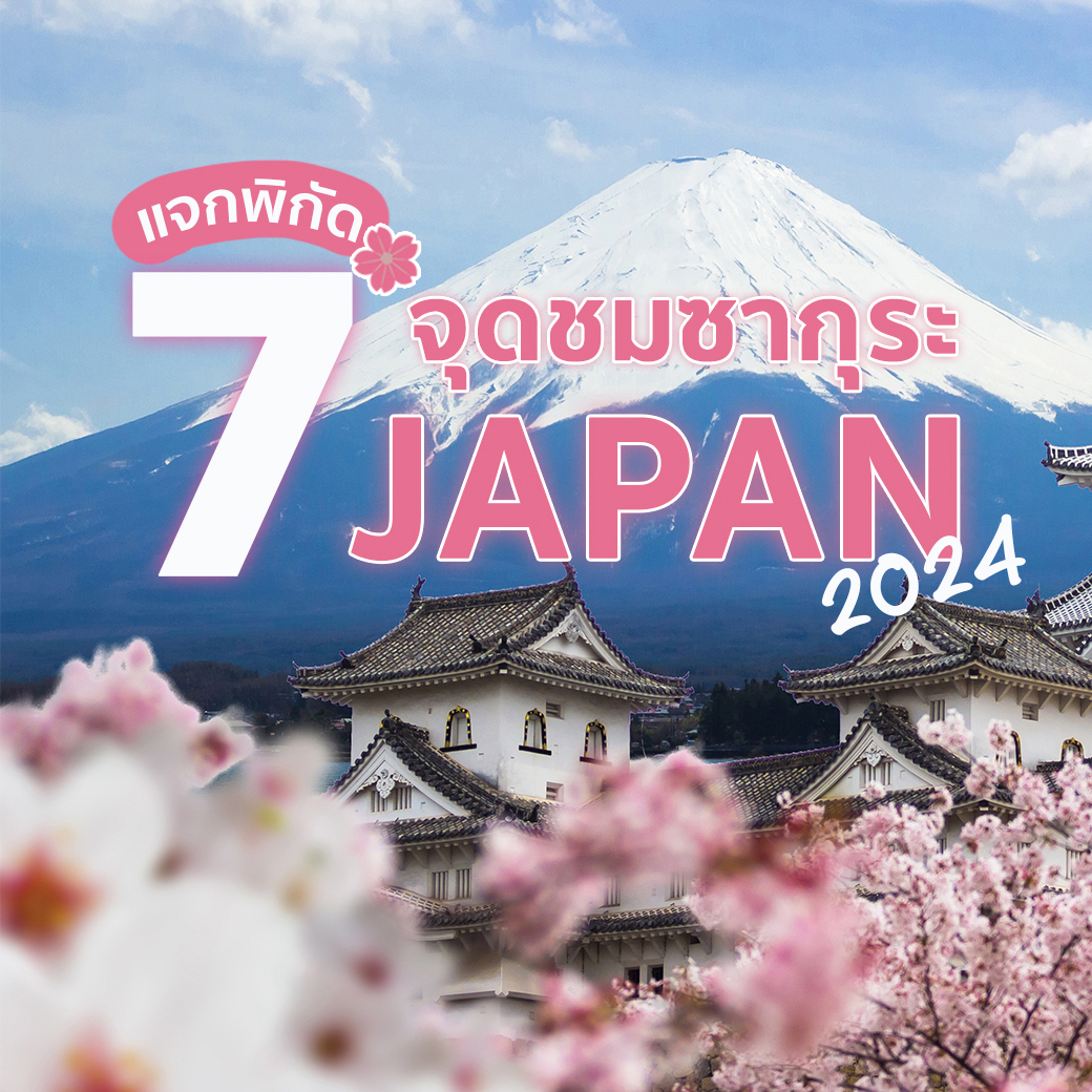 แจกพิกัดจุดชม ซากุระญี่ปุ่น 2024 เมืองไหนดี พร้อมวิธีการเดินทาง