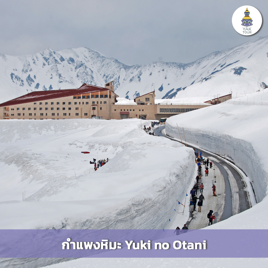 เที่ยวญี่ปุ่น ชมกำแพงหิมะ-yuki-no-otani