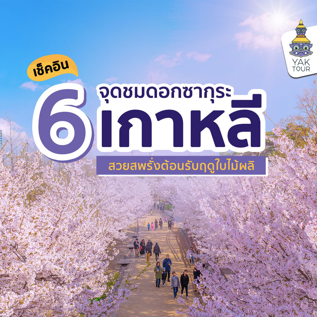 เช็คอิน 6 จุดชม ดอกซากุระ เกาหลี สวยสะพรั่งต้อนรับฤดูใบไม้ผลิ
