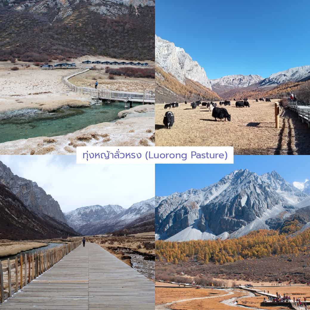 ทุ่งหญ้าลั่วหรง_yading-china