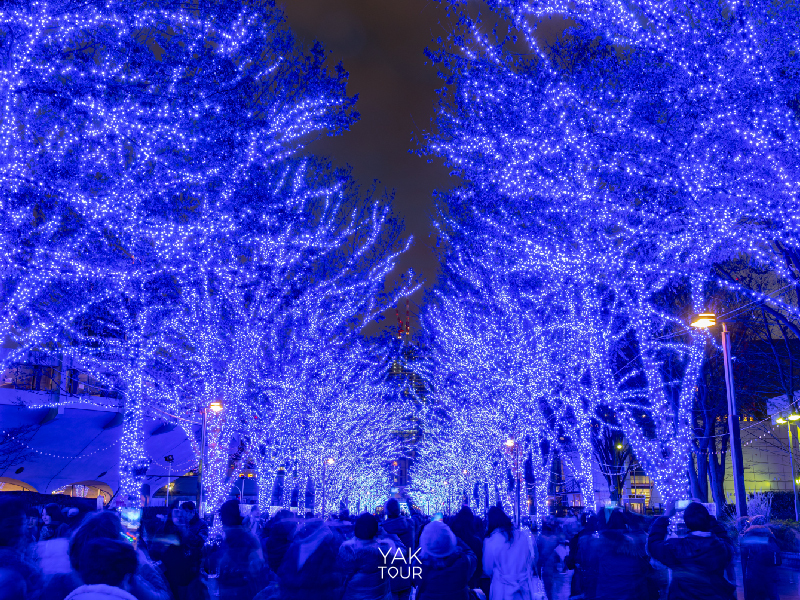 ที่เที่ยวโอซาก้า_หน้าหนาว-Festival_of_the_light_in_Osaka