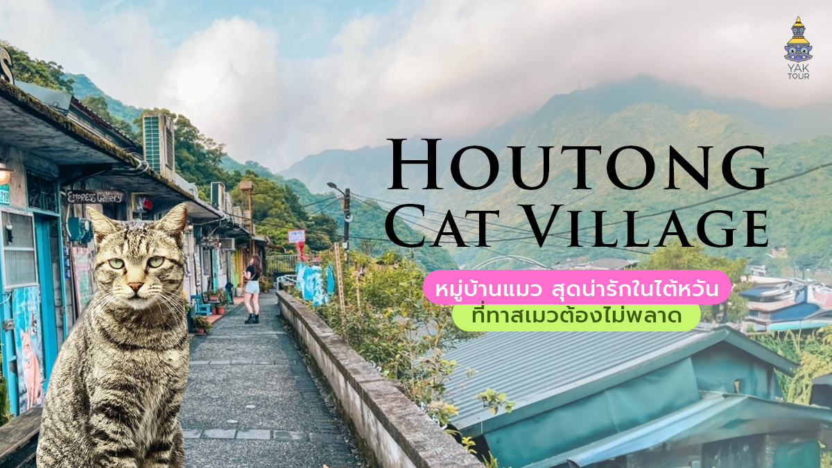 Houtong Cat Village หมู่บ้านแมว สุดน่ารักในไต้หวัน ที่ทาสแมวต้องไม่พลาด