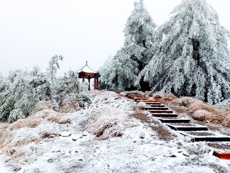 พื้นที่นันทนาการป่าสงวนแห่งชาติต้าเสวี่ยซาน (Daxueshan National Forest Recreation Area)