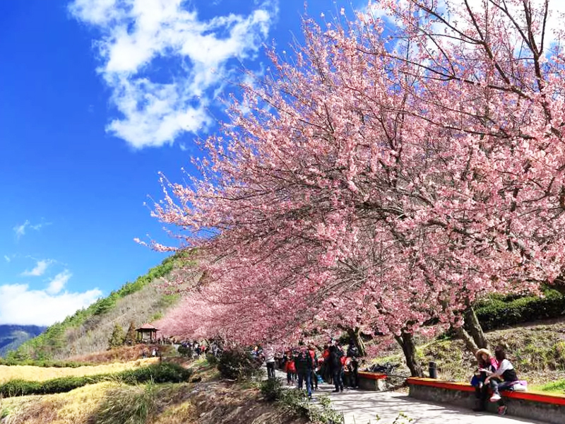 อู่หลิงฟาร์ม (Wuling Farm)