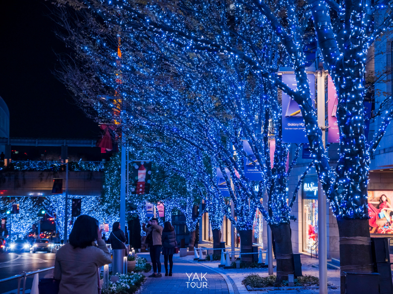 เที่ยวโตเกียวหน้าหนาว_Roppongi_Hills_Christmas