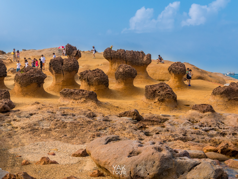 เที่ยวไต้หวันหน้าหนาว_03-อุทยานธรณีเย่หลิว