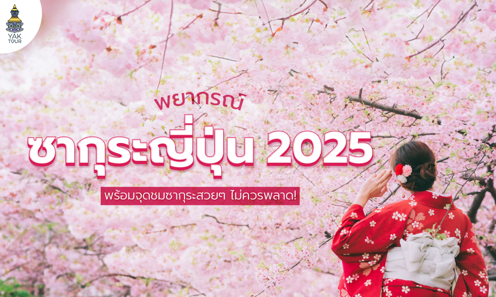 พยากรณ์ ซากุระ ญี่ปุ่น 2025 พร้อมจุดชมซากุระสวยๆ ไม่ควรพลาด!