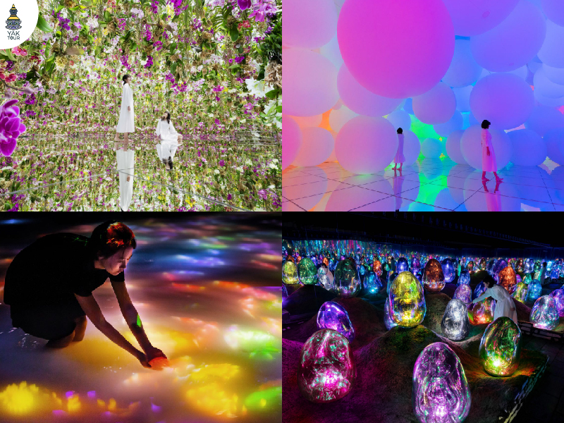 เที่ยวญี่ปุ่นโตเกียว2025_TeamLab Planets TOKYO