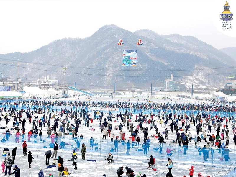 Hwacheon-Sancheoneo-Ice-Festival_ยักษ์ทัวร์