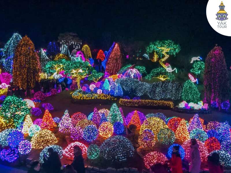 Seoul-Land-Winter-Festival-of-Lights