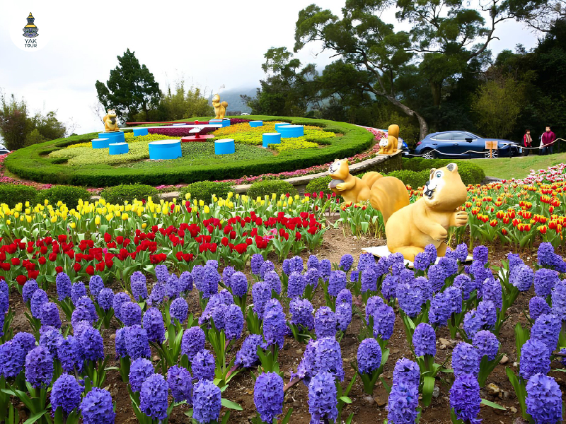 อุทยานแห่งชาติหยางหมิงซาน-yangmingshan-national-park