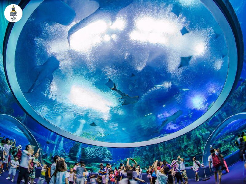 Zhuhai-Chimelong-Ocean-Kingdom