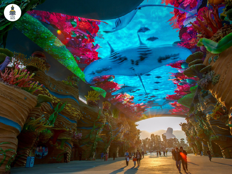 chimelong-ocean-avenue