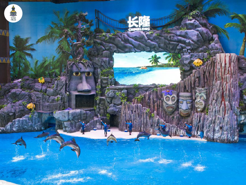 chimelong_dolphin-cave