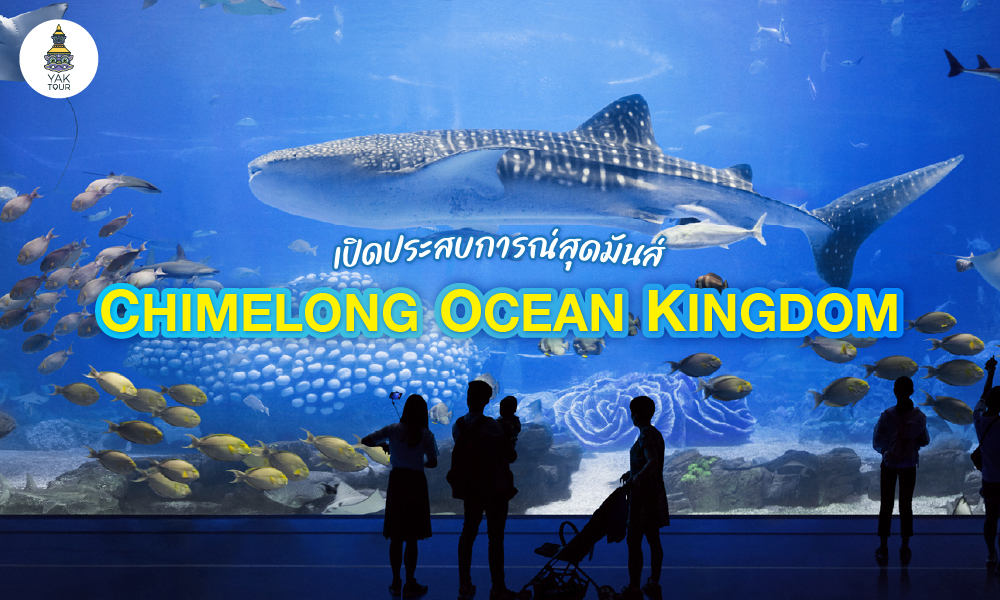 chimelong-ocean-kingdom