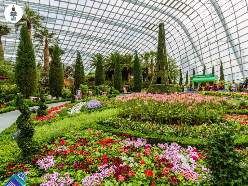 เรือนกระจกฟลาวเวอร์โดมที่ garden by the bay จัดแสดงพืชจากทั่วโลกในสิงคโปร์