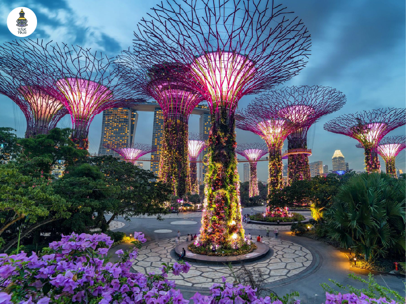 กลุ่มต้นไม้ยักษ์ซุปเปอร์ทรีที่ iconic ของ garden by the bay ในสิงคโปร์