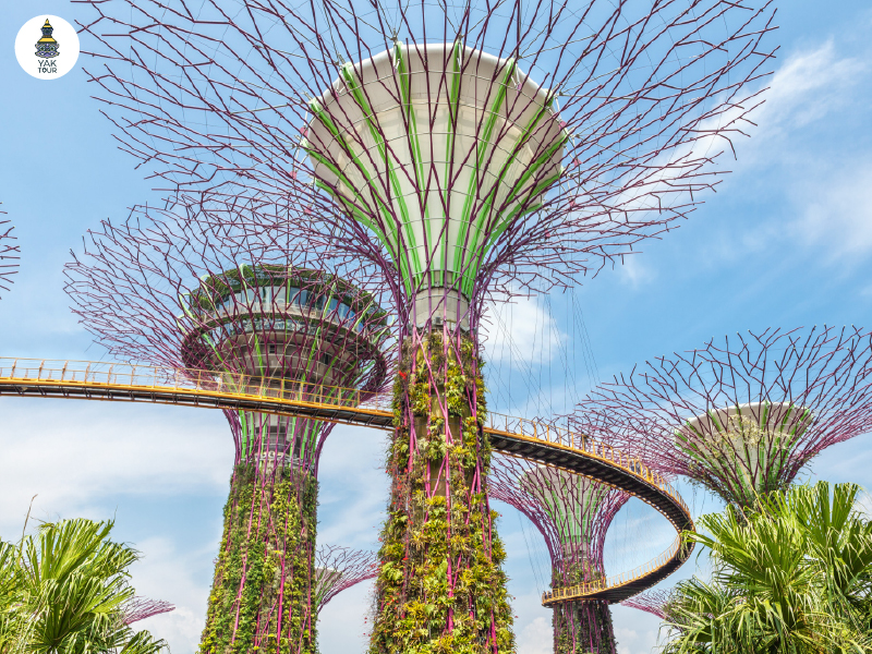 ทางเดินลอยฟ้า OCBC Skyway เชื่อมต้นซุปเปอร์ทรีพร้อมวิวมุมสูงของ garden by the bay