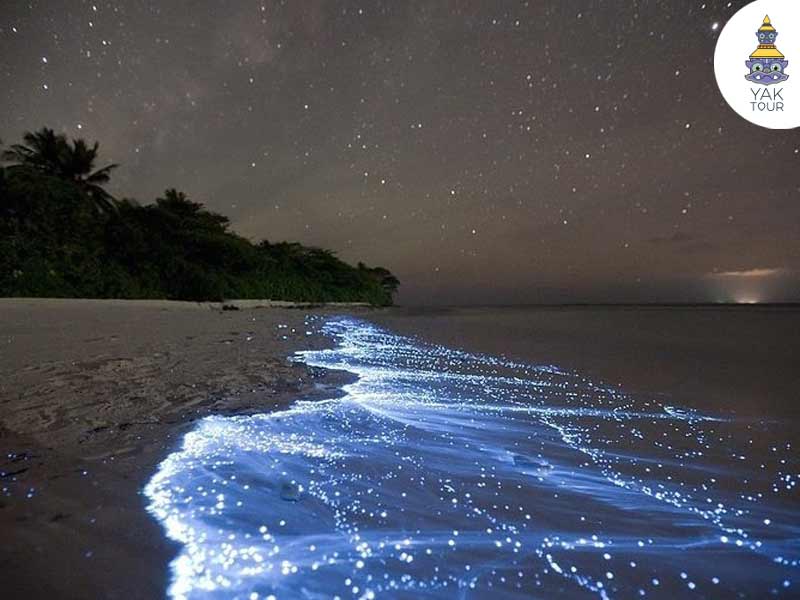 maldives-vaadhoo-island
