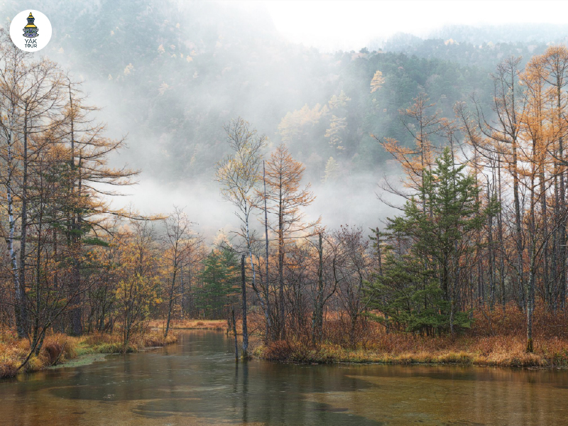 tashiro-marshland-kamikochi