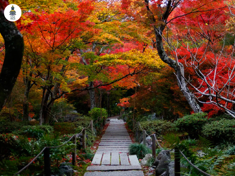 วัดโฮกงอิน-hogonin-temple