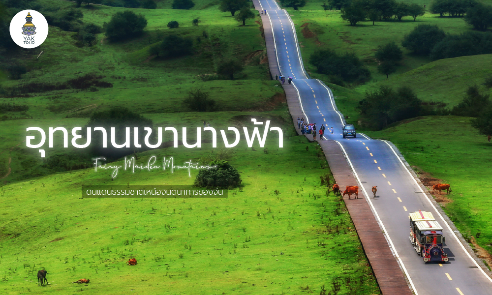 เที่ยว อุทยานเขานางฟ้า อู่หลง ฉงชิ่ง ดินแดนธรรมชาติเหนือจินตนาการของจีน
