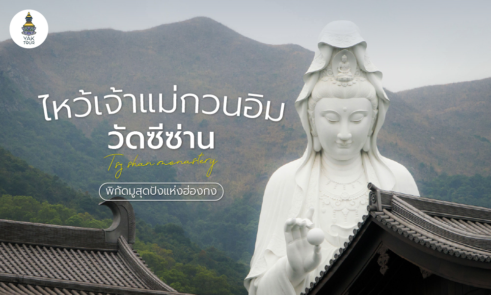 Tsz Shan Monastery  ไหว้เจ้าแม่กวนอิม วัดซีซ่าน พิกัดมูสุดปังแห่งฮ่องกง