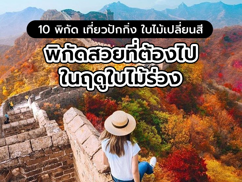 เที่ยวปักกิ่ง ใบไม้เปลี่ยนสี 10 พิกัดสวยที่ต้องไปในฤดูใบไม้ร่วง