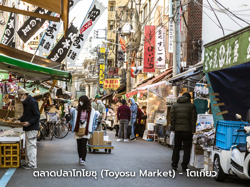 ภาพบรรยากาศตลาดปลาโทโยสุ โตเกียว แหล่งอาหารทะเลสดชื่อดังของญี่ปุ่น