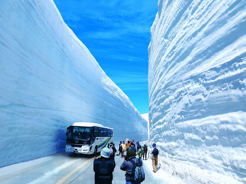 เดินชมกำแพงหิมะ เส้นทางเจแปนแอลป์ Tateyama Kurobe