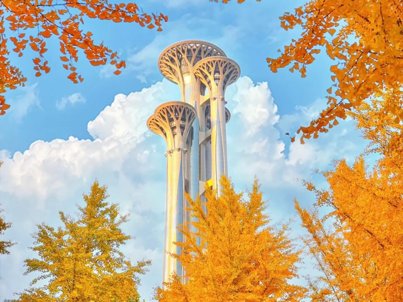 สวนป่าโอลิมปิก ปักกิ่ง ทางเดินใบไม้เปลี่ยนสี
