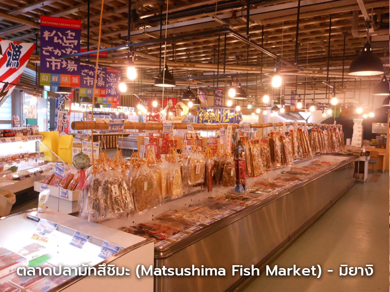 ตลาดปลามัตสึชิมะ มิยางิ สวรรค์ของคนรักอาหารทะเล