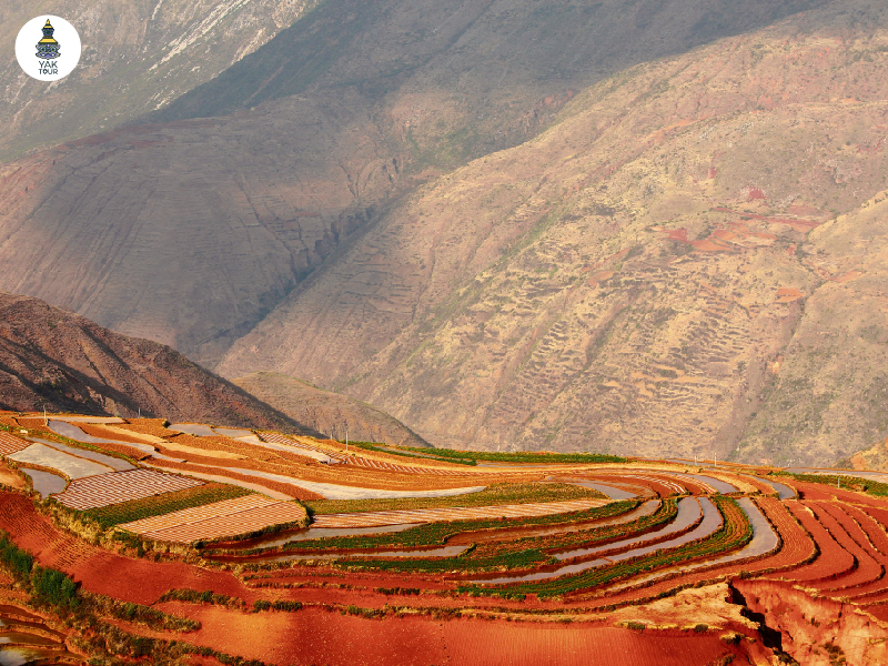 ทุ่งดินแดงและใบไม้เปลี่ยนสีที่ตัดกับแนวเขาในภูเขาเจ็ดสีตงชวน