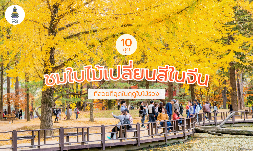 10 จุดชมใบไม้เปลี่ยนสีในจีน สวยอลังการ โรแมนติกสุดๆ