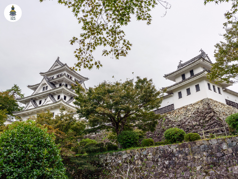 Gujo Hachiman Castle ตั้งตระหง่านบนยอดเขา