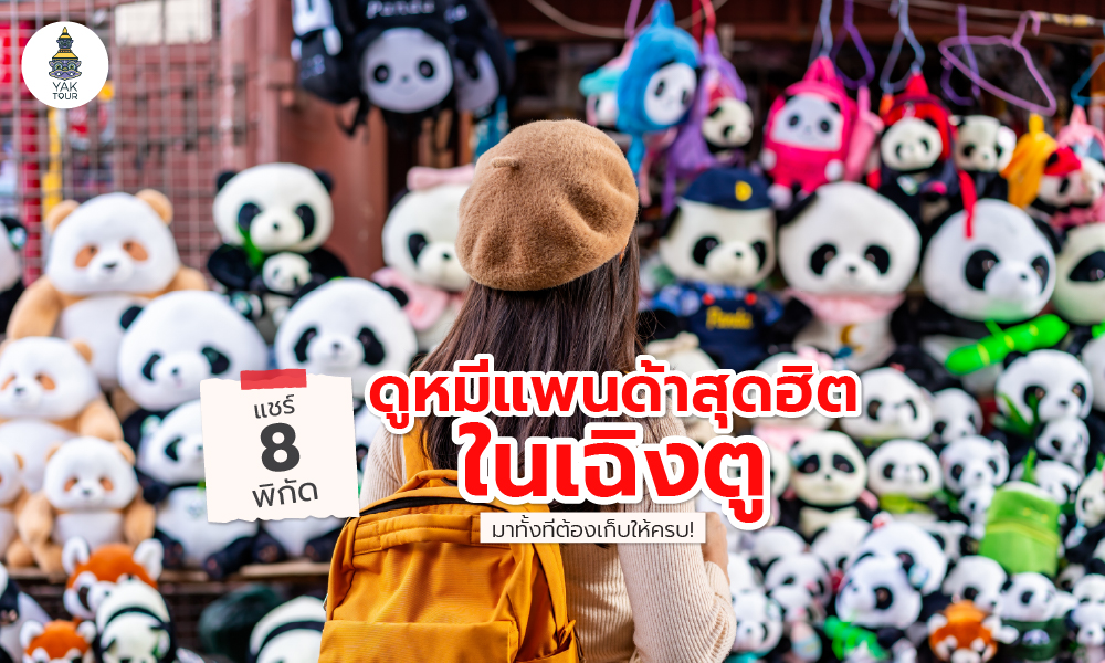 แชร์ 8 พิกัดดูหมีแพนด้าสุดฮิตในเฉิงตู มาทั้งทีต้องเก็บให้ครบ!