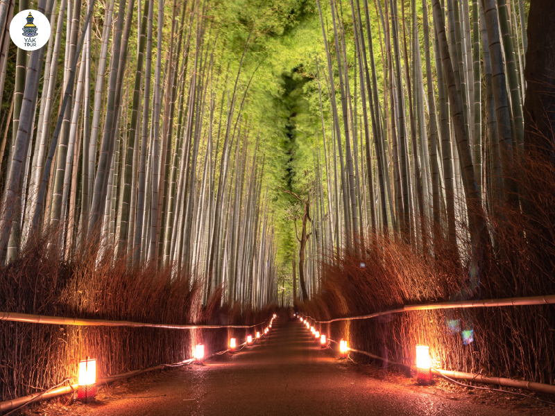 ป่าไผ่อาราชิยามะในเกียวโต ที่เที่ยวญี่ปุ่นสุดสงบและสวยงาม