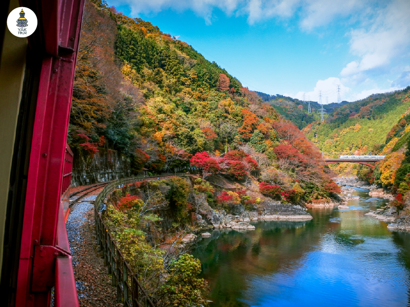 รถไฟสายโรแมนติก ซากาโนะ วิวธรรมชาติที่สวยงามในอาราชิยามะ