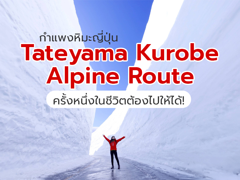 กำแพงหิมะ ญี่ปุ่น Tateyama Kurobe Alpine Route  ครั้งหนึ่งในชีวิตต้องไปให้ได้!