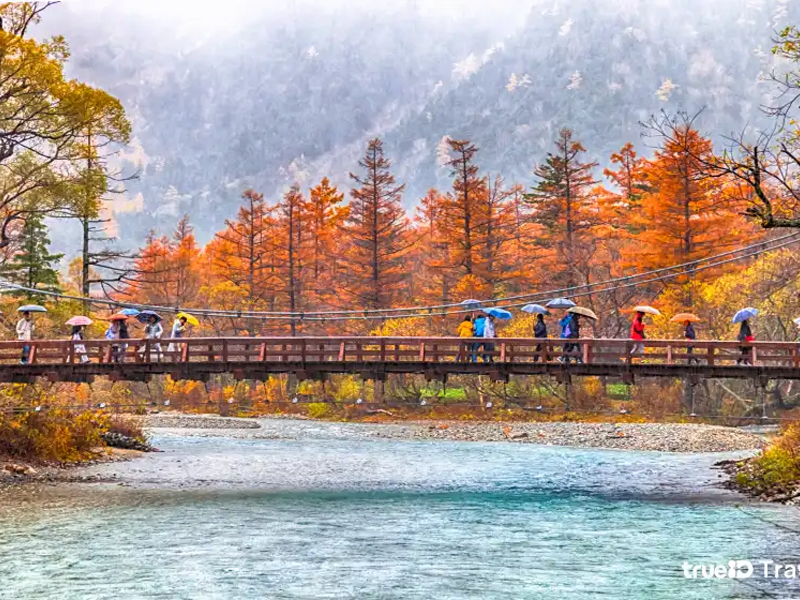 สะพานคัปปะบาชิในคามิโคจิ ท่ามกลางใบไม้เปลี่ยนสี