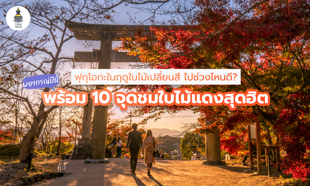 เที่ยวฟุกุโอกะ ใบไม้เปลี่ยนสี 2025 ไปช่วงไหนดี? รวมจุดพีคและพยากรณ์ล่าสุด