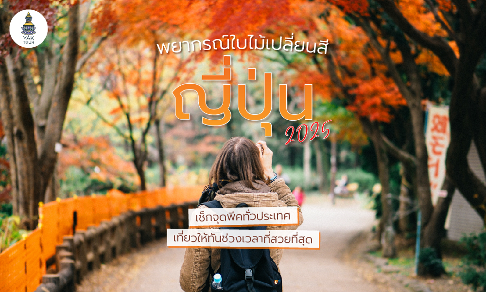 พยากรณ์ใบไม้เปลี่ยนสี ญี่ปุ่น 2025