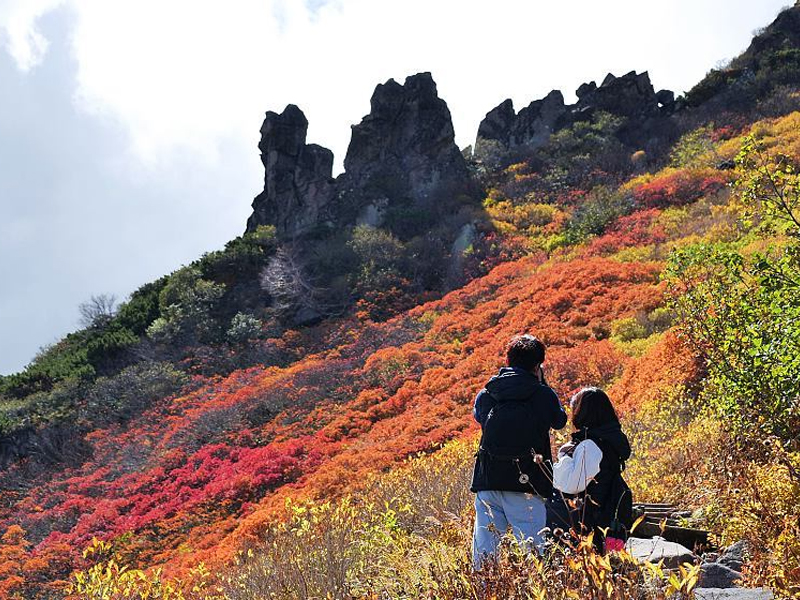 วิวใบไม้เปลี่ยนสีที่อุทยานแห่งชาติไดเซสึซัง ฮอกไกโด