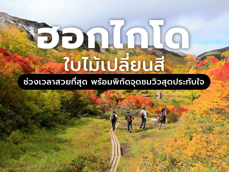 ฮอกไกโด ใบไม้เปลี่ยนสี ช่วงเวลาสวยที่สุด พร้อมพิกัดจุดชมวิวสุดประทับใจ