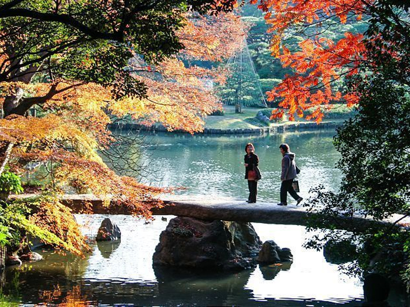 สวนริคุงิเอน โตเกียว บรรยากาศใบไม้เปลี่ยนสีสวยคลาสสิก 