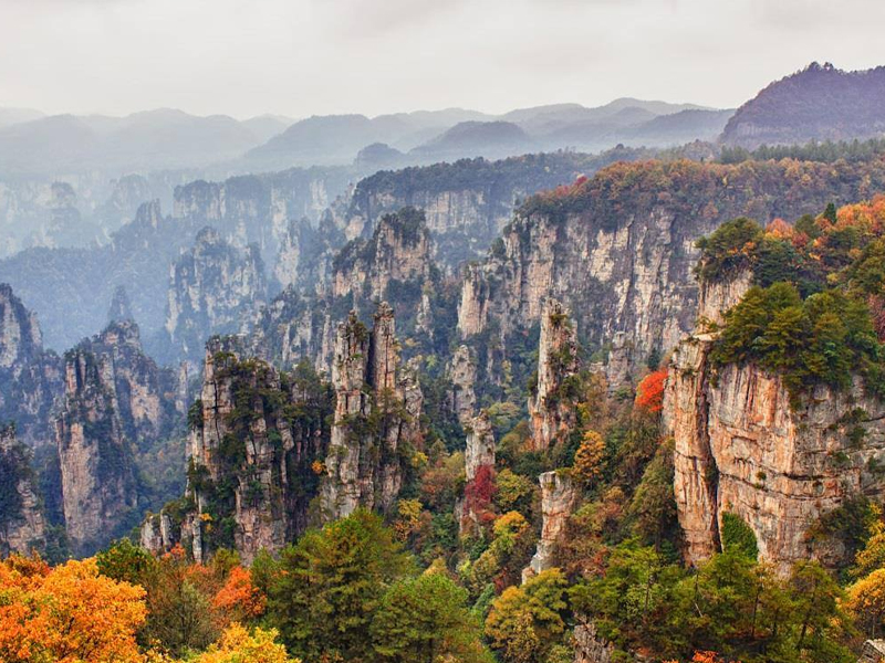 เสาหินสูงและใบไม้เปลี่ยนสีในอุทยานจางเจียเจี้ย