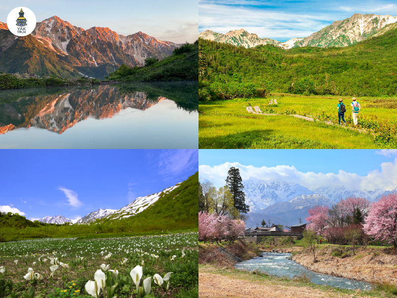 ฮาคุบะ (Hakuba) ช่วงฤดูใบไม้ผลิ