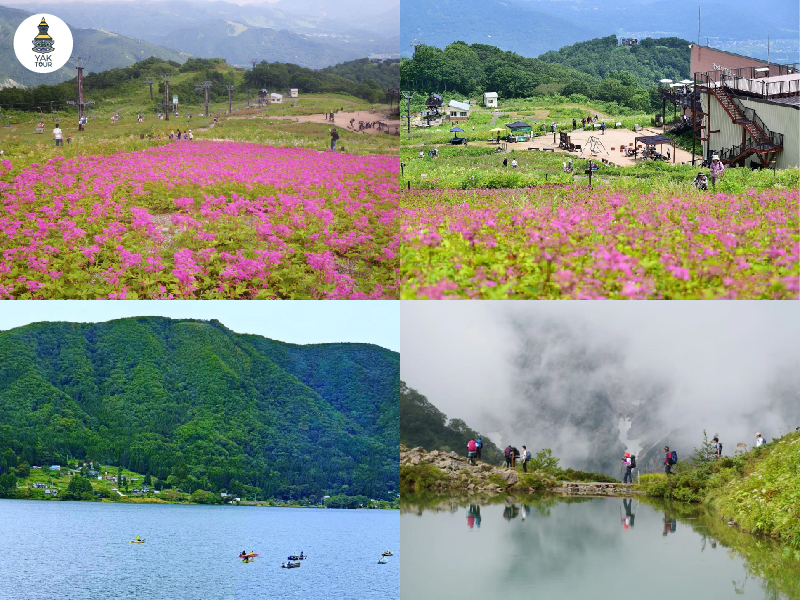ฮาคุบะ (hakuba) ฤดูร้อน