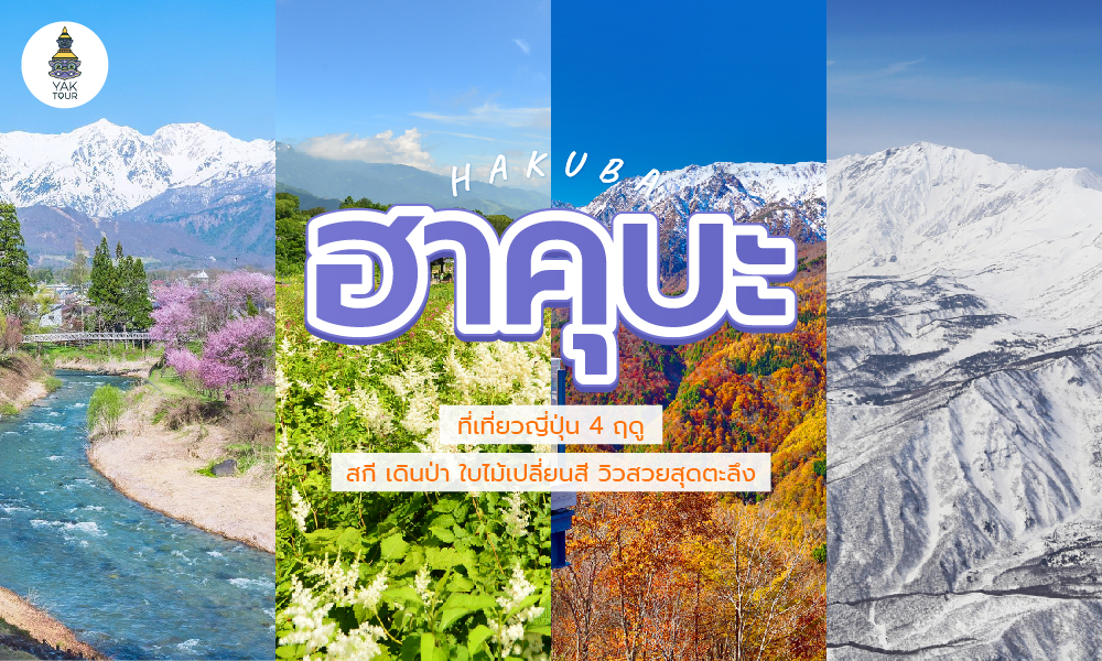 ฮาคุบะ (Hakuba) ที่เที่ยวญี่ปุ่น 4 ฤดู