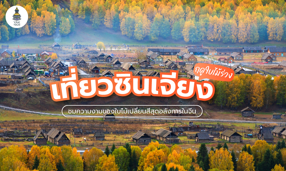 เที่ยวซินเจียงฤดูใบไม้ร่วง